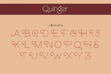 Quinger - Unique Sans Display font