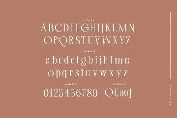 Clifton - Modern Serif Typeface font