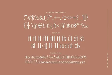 Clifton - Modern Serif Typeface font