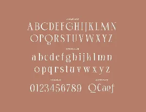 Clifton - Modern Serif Typeface font