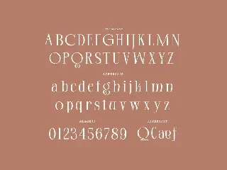 Clifton - Modern Serif Typeface font