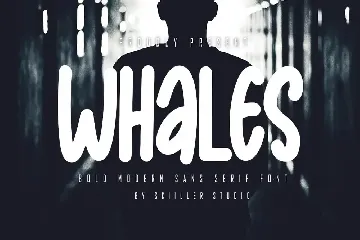 Whales - Bold Modern Sans Serif font