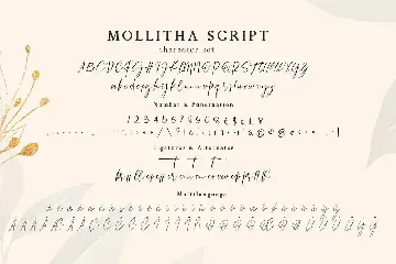 Mollitha font