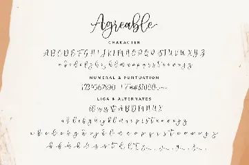 Agreable Modern Script font