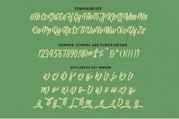 Raydric Script with Shadow outline font