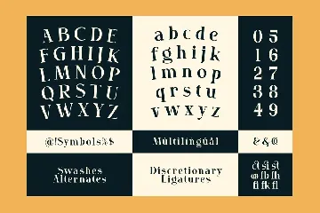 AMR Bilgosia - Display Family font