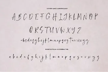 Anastacy font