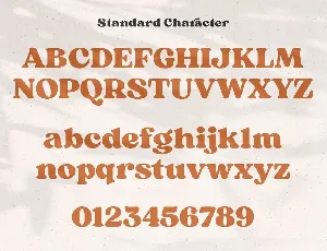 Sergio Trendy Serif Font