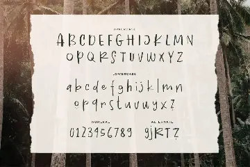 Palmiva - A Hand-Drawn Typeface font