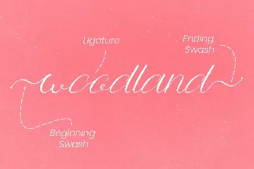 Anttalla - Script Font