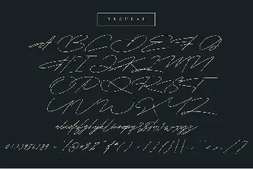 Shaloems Handwritten Signature Font