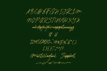 Baginda script font