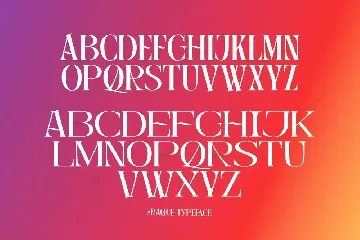 Raque - Modern Serif font