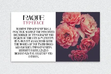 Raque - Modern Serif font