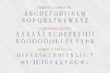 Delaproza - Modern Serif font