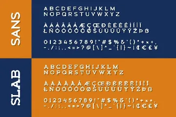 Schein - Sans & Slab font