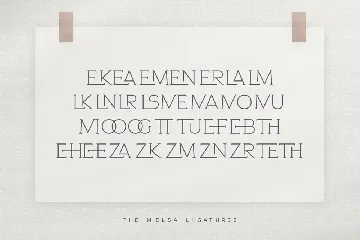 The Melsa - Modern Ligature Sans font