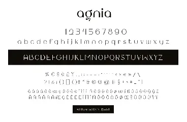 Agnia Typeface font