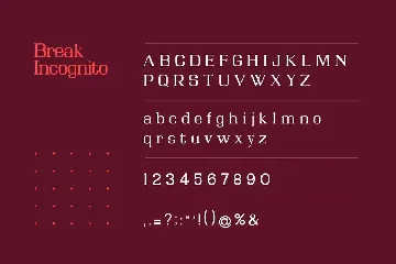 Break Incognito Serif Font