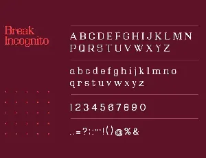 Break Incognito Serif Font