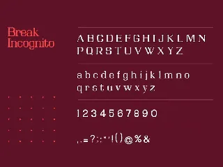 Break Incognito Serif Font