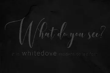 Whitedove Modern Script font