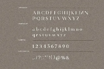 Saxvon Serif Display Font