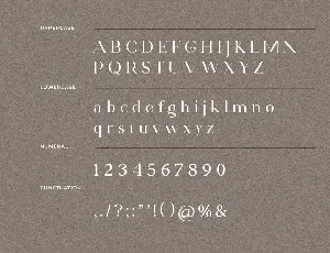 Saxvon Serif Display Font