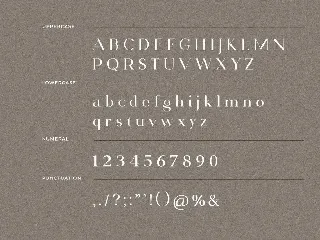 Saxvon Serif Display Font