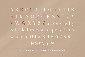 Modern Font