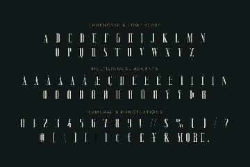 Vicenza - Elegant Serif font