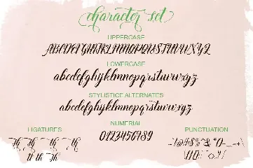 Thirteenth Script font