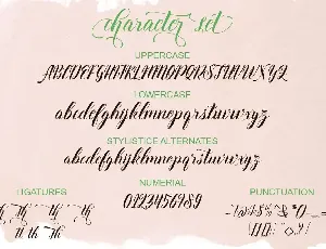 Thirteenth Script font