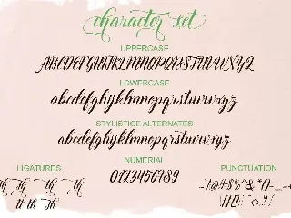 Thirteenth Script font