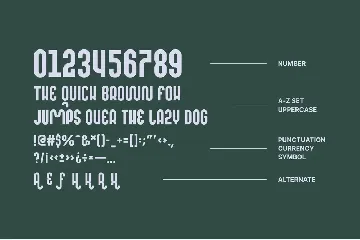 MOQARIN - Rounded & Playful Font