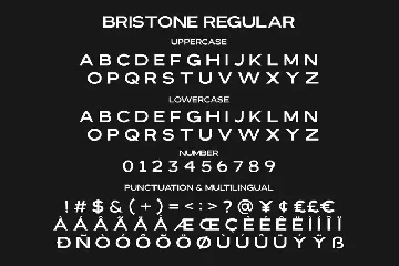 Bristone - Expanded Sans Family font