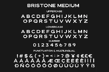 Bristone - Expanded Sans Family font