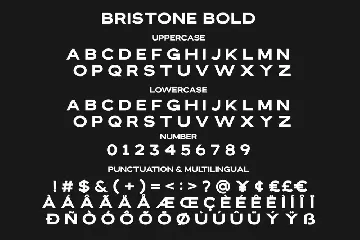 Bristone - Expanded Sans Family font