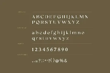 Sasha Marceline Serif Font