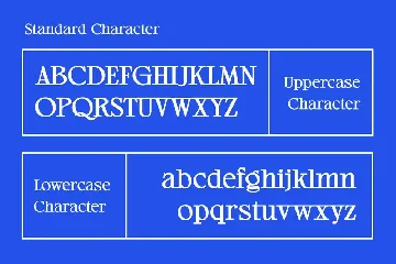 Bustor Rhikan - Slab Serif Font