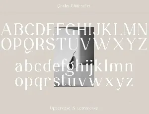 Qochy - Modern Serif Font