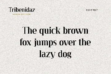 Tribenidaz Serif Display Font