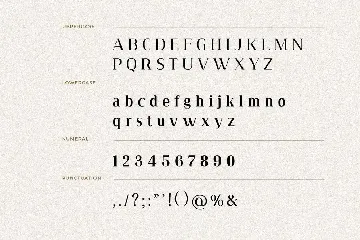 Tribenidaz Serif Display Font