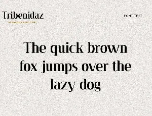 Tribenidaz Serif Display Font