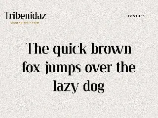 Tribenidaz Serif Display Font