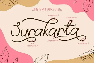 Craft String - Display Script Font