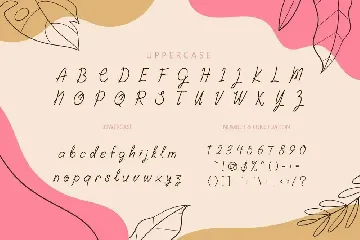 Craft String - Display Script Font