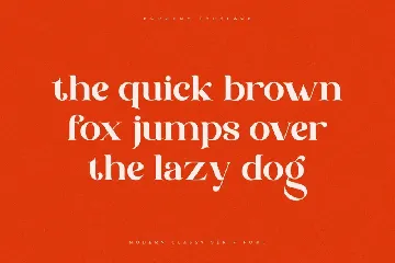 Borgeny | Modern Classy Serif Font