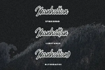 Mettda Script font