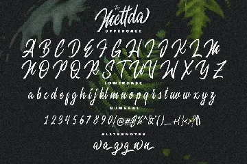 Mettda Script font